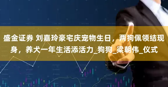 盛金证券 刘嘉玲豪宅庆宠物生日，两狗佩领结现身，养犬一年生活添活力_狗狗_梁朝伟_仪式