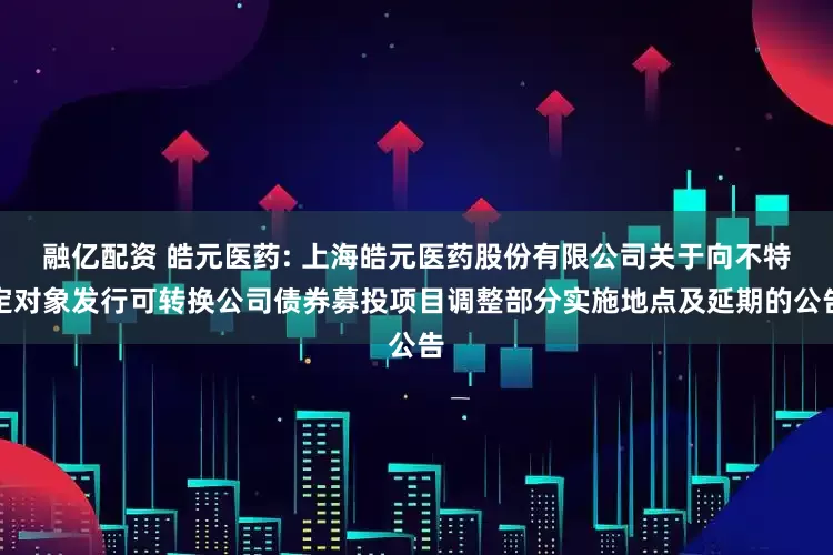 融亿配资 皓元医药: 上海皓元医药股份有限公司关于向不特定对象发行可转换公司债券募投项目调整部分实施地点及延期的公告