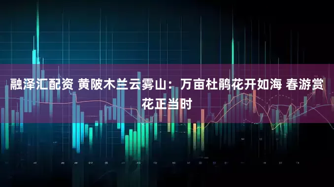 融泽汇配资 黄陂木兰云雾山：万亩杜鹃花开如海 春游赏花正当时